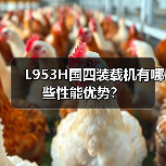 L953H国四装载机有哪些性能优势？