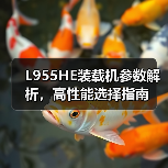 L955HE装载机参数解析，高性能选择指南