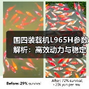 国四装载机L965H参数解析：高效动力与稳定性能