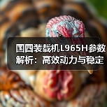 国四装载机L965H参数解析：高效动力与稳定性能