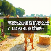 高效省油装载机怎么选?LD933L参数解析 高效省油装载机怎么选?LD933L参数解析