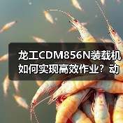 龙工CDM856N装载机如何实现高效作业?动力系统全解析 龙工CDM856N装载机如何实现高效作业?动力系统全解析