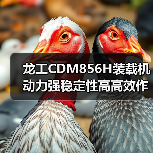 龙工CDM856H装载机动力强稳定性高高效作业优势 龙工CDM856H装载机动力强稳定性高高效作业优势