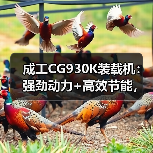 成工CG930K装载机:强劲动力+高效节能,适用多种重型场景 成工CG930K装载机:强劲动力+高效节能,适用多种重型场景