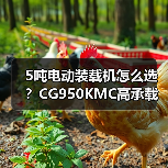 5吨电动装载机怎么选？CG950KMC高承载性能解析