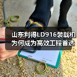 山东利得LD916装载机为何成为高效工程首选? 山东利得LD916装载机为何成为高效工程首选?