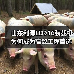 山东利得LD916装载机为何成为高效工程首选? 山东利得LD916装载机为何成为高效工程首选?