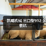凯威机械 出口型912 装载机