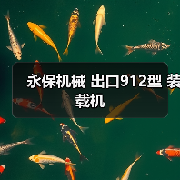 永保机械 出口912型 装载机 永保机械 出口912型 装载机
