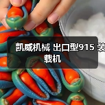 凯威机械 出口型915 装载机 凯威机械 出口型915 装载机