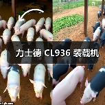 力士德 CL936 装载机