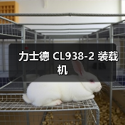力士德 CL938-2 装载机 力士德 CL938-2 装载机