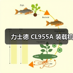 力士德 CL955A 装载机
