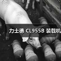 力士德 CL955B 装载机