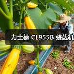 力士德 CL955B 装载机