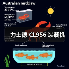 力士德 CL956 装载机