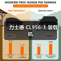 力士德 CL956-1 装载机 力士德 CL956-1 装载机