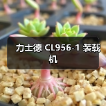 力士德 CL956-1 装载机 力士德 CL956-1 装载机